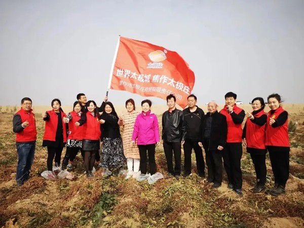 11月12日，眾人翹首以盼的太極莊山藥采挖活動(dòng)在太極莊公司的溫縣·富硒鐵棍山藥標(biāo)準(zhǔn)化種植基地拉開(kāi)帷幕